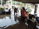 poyo en manzanillo